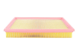 Air Filter (BSG 65-135-010)