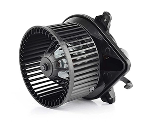 Interior Blower (BSG 70-845-004)