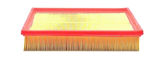 Air Filter (BSG 30-135-018)