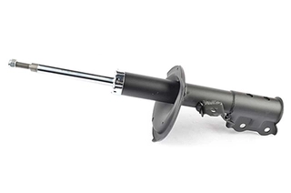 Shock Absorber (BSG 40-300-059)