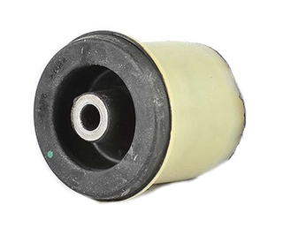 Bushing, axle beam (BSG 65-700-202)
