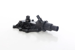 Thermostat, coolant (BSG 75-126-004)
