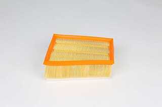 Air Filter (BSG 75-135-025)