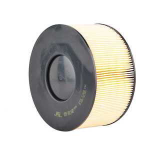 Air Filter (BSG 15-135-008)