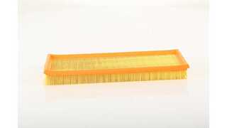 Air Filter (BSG 30-135-042)
