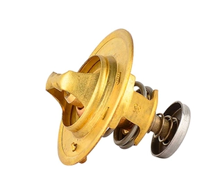 Thermostat, coolant (BSG 65-125-003)