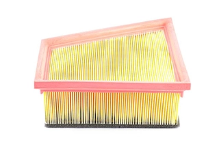 Air Filter (BSG 90-135-018)