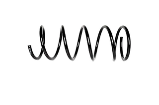Suspension Spring (BSG 30-305-019)