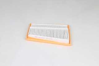 Air Filter (BSG 60-135-021)