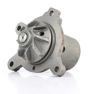 Water Pump, engine cooling (BSG 60-500-004)