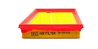 Air Filter (BSG 30-135-024)