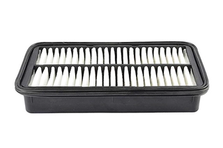 Air Filter (BSG 40-135-011)