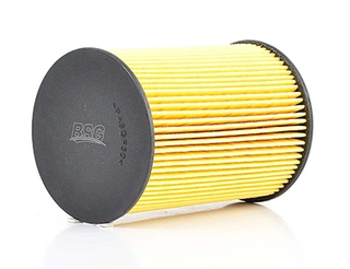 Fuel Filter (BSG 90-130-005)