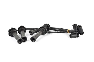 Ignition Cable Kit (BSG 30-839-004)