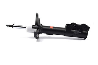 Shock Absorber (BSG 30-300-031)