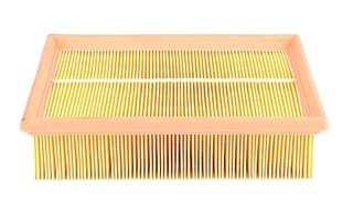 Air Filter (BSG 65-135-009)