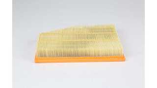 Air Filter (BSG 15-135-016)
