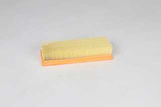 Air Filter (BSG 25-135-006)