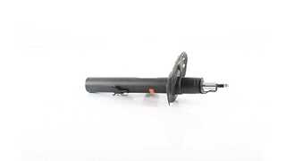 Shock Absorber (BSG 15-300-053)