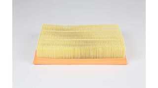 Air Filter (BSG 15-135-020)