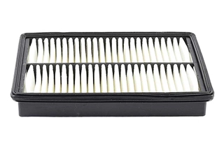 Air Filter (BSG 40-135-009)