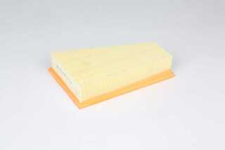 Air Filter (BSG 60-135-028)