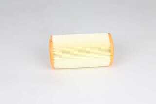 Air Filter (BSG 70-135-018)