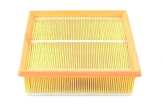 Air Filter (BSG 65-135-015)