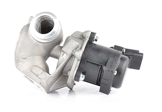 EGR Valve (BSG 70-836-001)