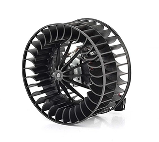 Interior Blower (BSG 15-845-004)