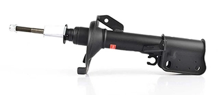 Shock Absorber (BSG 60-300-016)