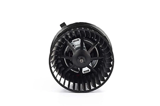Interior Blower (BSG 30-845-001)