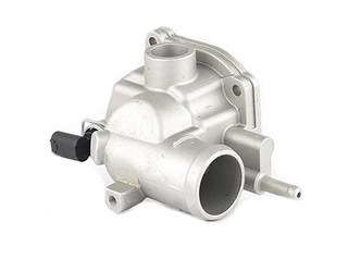 Thermostat, coolant (BSG 60-125-003)