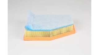 Air Filter (BSG 15-135-023)