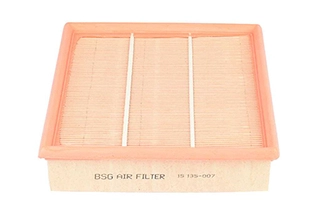 Air Filter (BSG 15-135-007)
