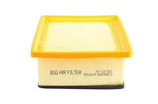 Air Filter (BSG 70-135-001)