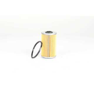 Fuel Filter (BSG 75-130-010)