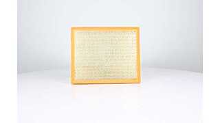 Air Filter (BSG 90-135-027)