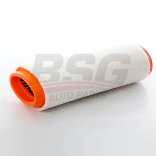 Air Filter (BSG 15-135-005)