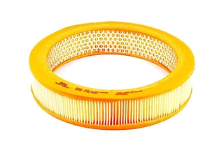 Air Filter (BSG 40-135-003)