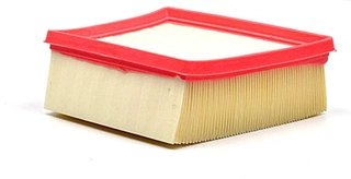 Air Filter (BSG 30-135-026)