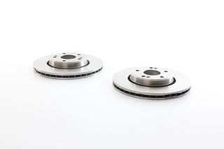 Brake Disc (BSG 75-210-022)
