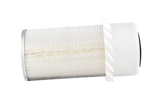 Air Filter (BSG 40-135-002)
