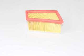 Air Filter (BSG 75-135-005)