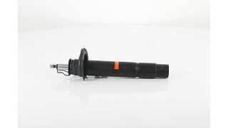 Shock Absorber (BSG 15-300-030)