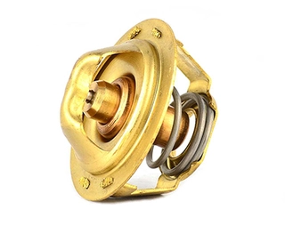 Thermostat, coolant (BSG 90-125-004)
