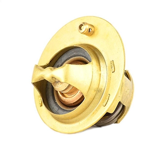 Thermostat, coolant (BSG 30-125-018)