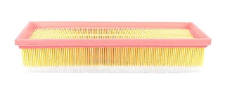 Air Filter (BSG 70-135-002)