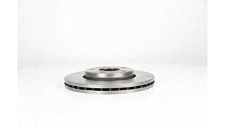 Brake Disc (BSG 75-210-009)