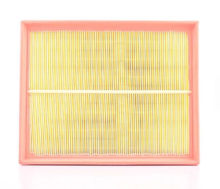 Air Filter (BSG 90-135-017)